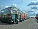  Image description - Buses at the spring gathering